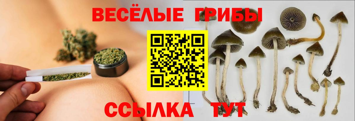 Псилоцибиновые грибы мицелий Надым